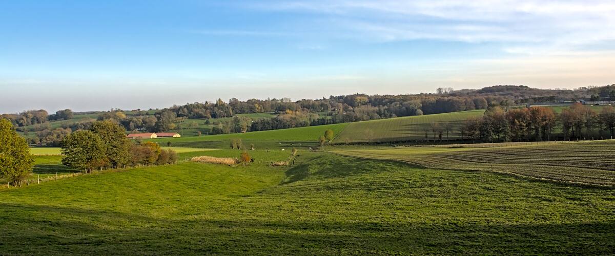 A rural landscape with rolling hills, fields, and scattered trees.