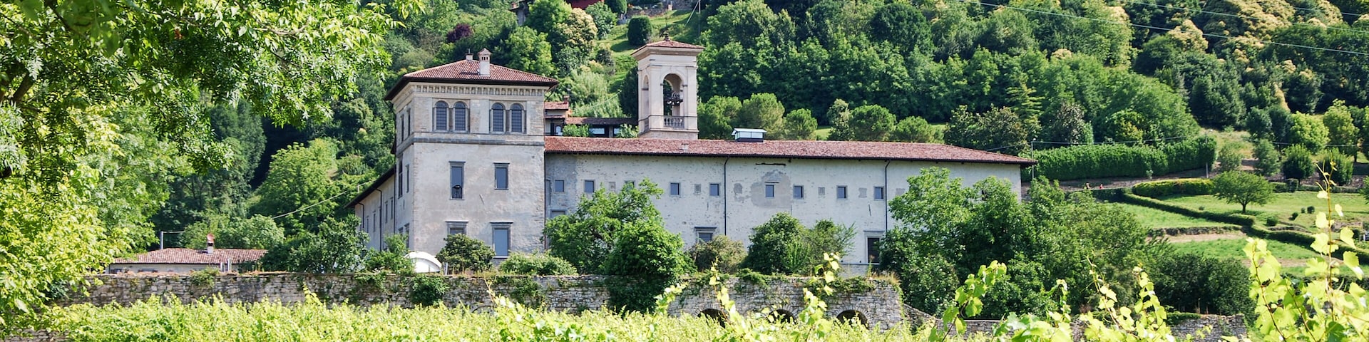 Un viñedo con hileras de vides, un edificio histórico con un campanario y una colina salpicada de casas.