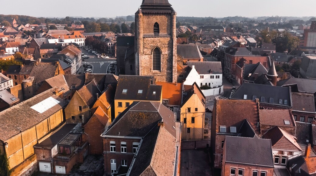 Saint-Vincent Collegiate Church in Soignies, Belgium - Aerial View