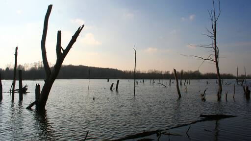 Hensies (Bèlgium), the Van Gheyt pond.
