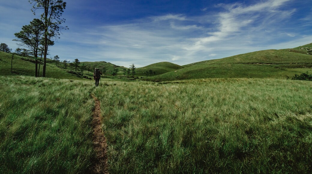 Campos do Quiriri, montanhas do Brasil no Paraná