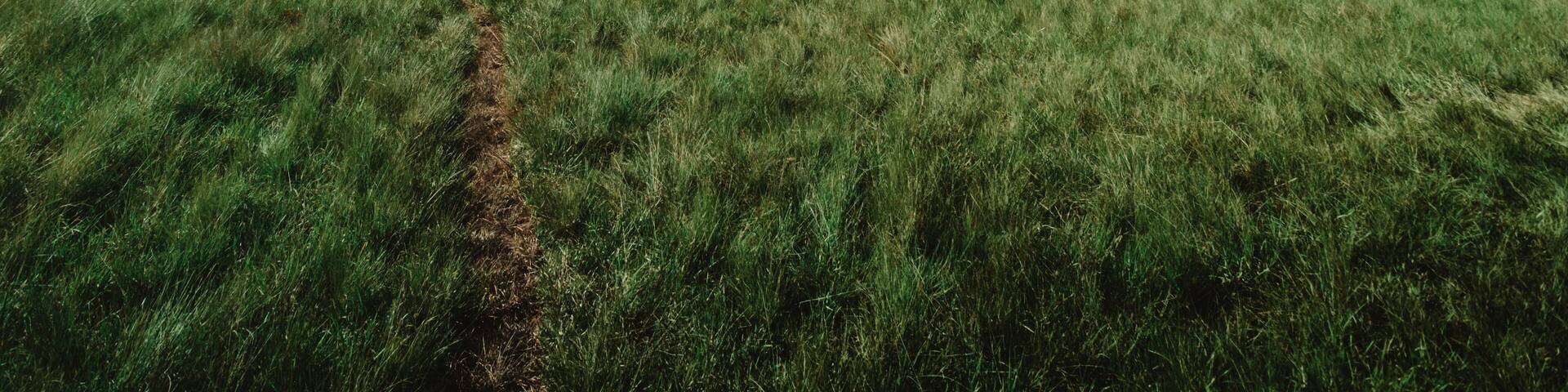 Campos do Quiriri, montanhas do Brasil no Paraná