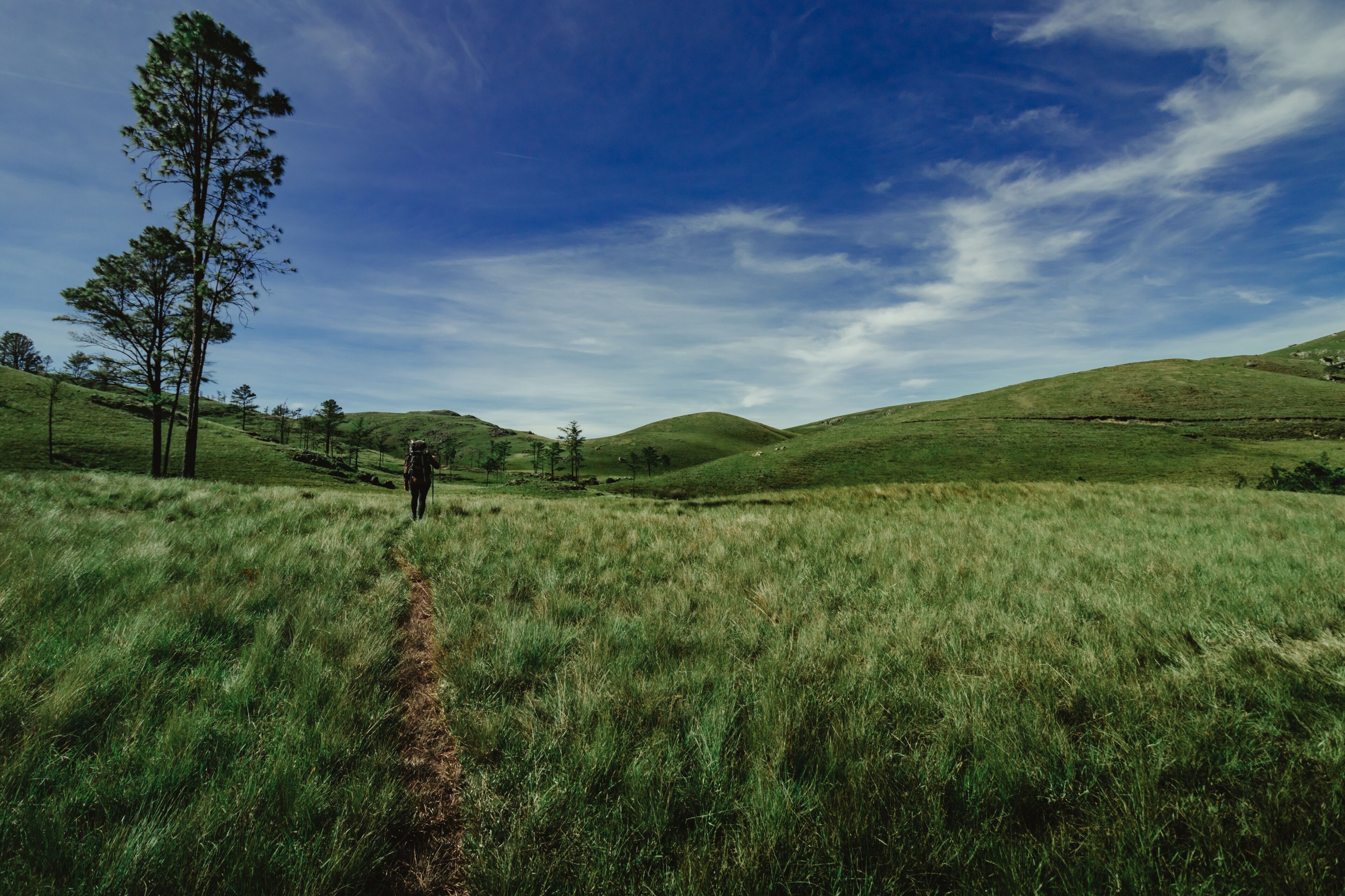 A grassy field with a dirt path, a lone tree, and rolling hills under a blue sky.