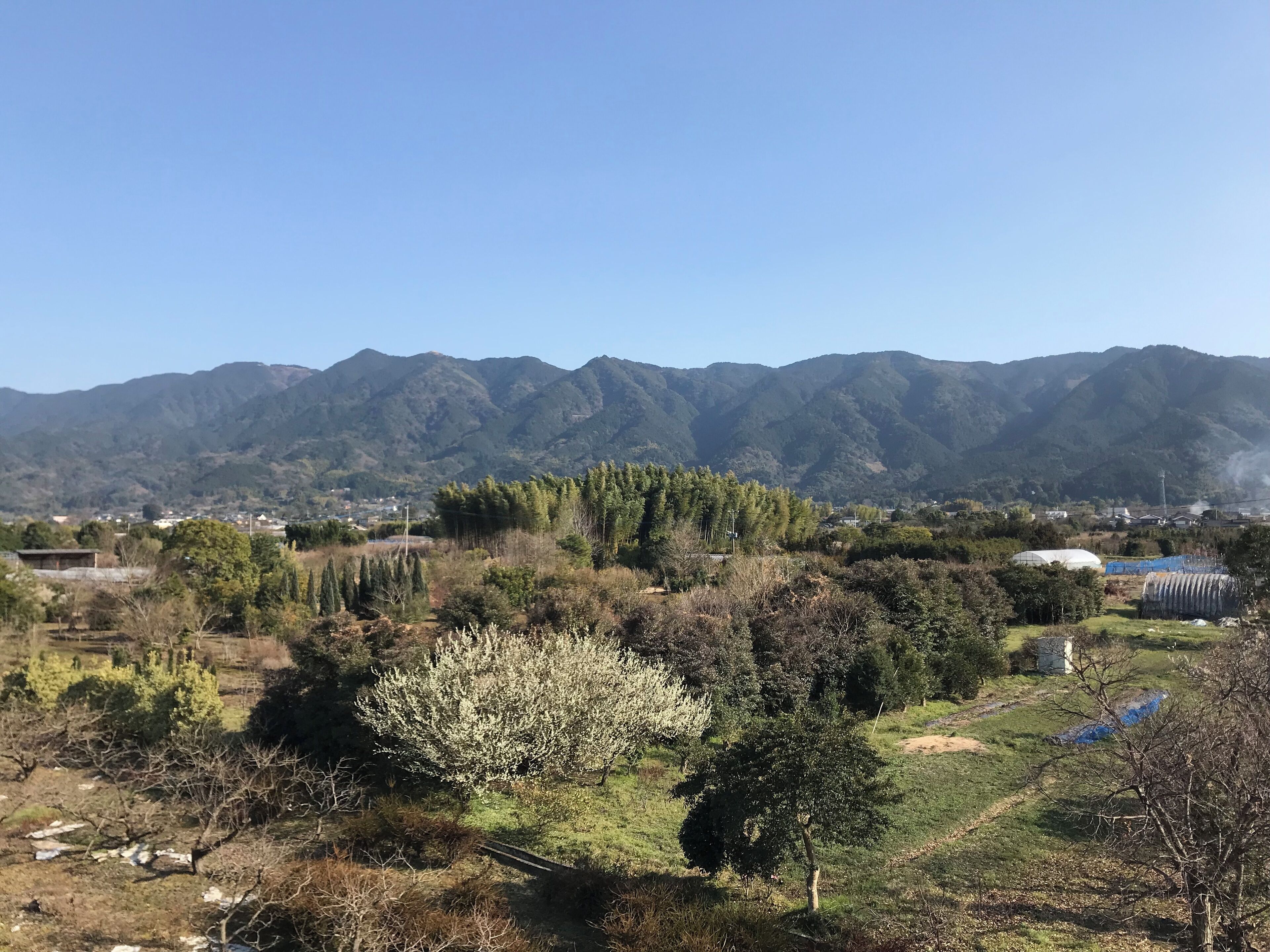 <h2>久留米市的海滩附近最受欢迎的住宿</h2>