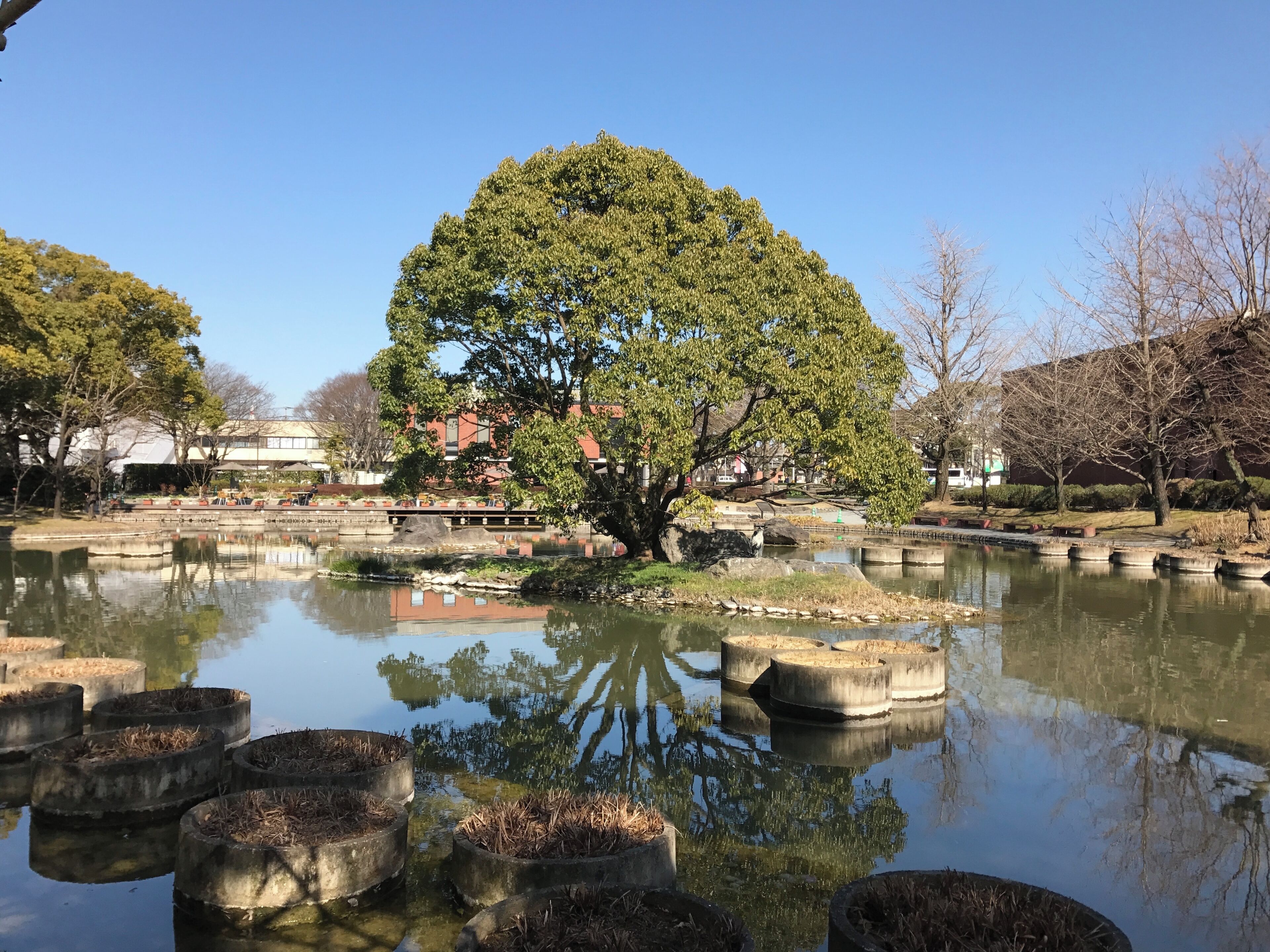 石橋文化センター・楽水の池