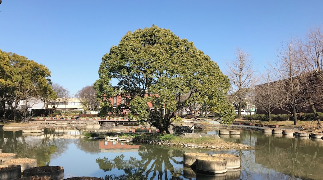 石橋文化センター・楽水の池