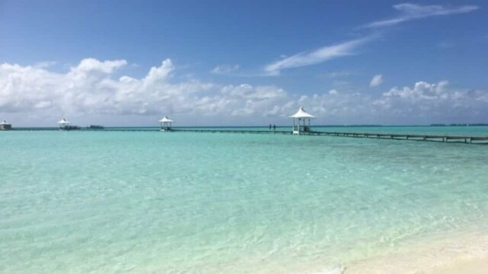 Honeymoon throwback from the Maldives #lifeatexpedia