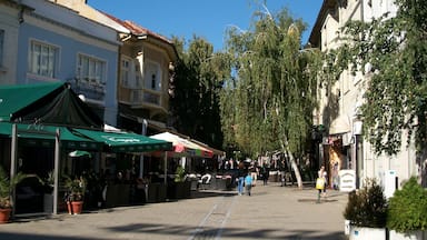 A university town in the south west of Bulgaria, about 2 hours form Sofia. It was like going back to the 50's & 60's looking at some of the architecture.