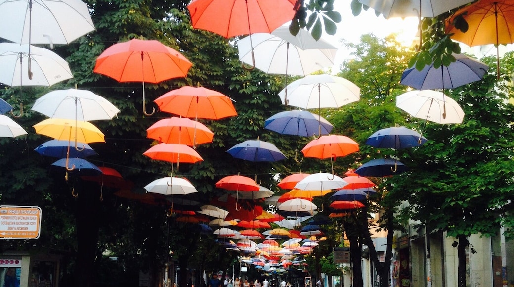 This Street is so cosy. During Spring and Summer they put up these umbrellas and there al in different colors wich makes it so pretty. It's not a must see City, but definitly worth it.