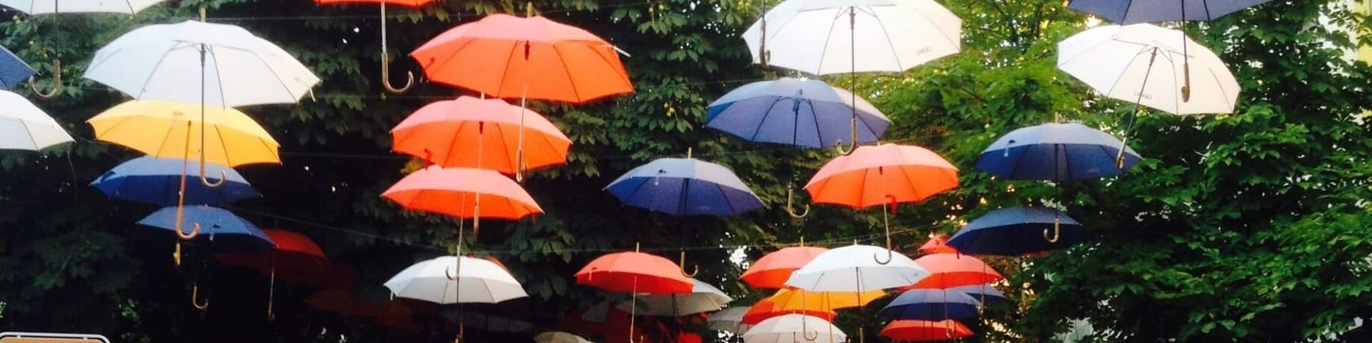 This Street is so cosy. During Spring and Summer they put up these umbrellas and there al in different colors wich makes it so pretty. It's not a must see City, but definitly worth it.