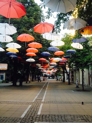 This Street is so cosy. During Spring and Summer they put up these umbrellas and there al in different colors wich makes it so pretty. It's not a must see City, but definitly worth it.
