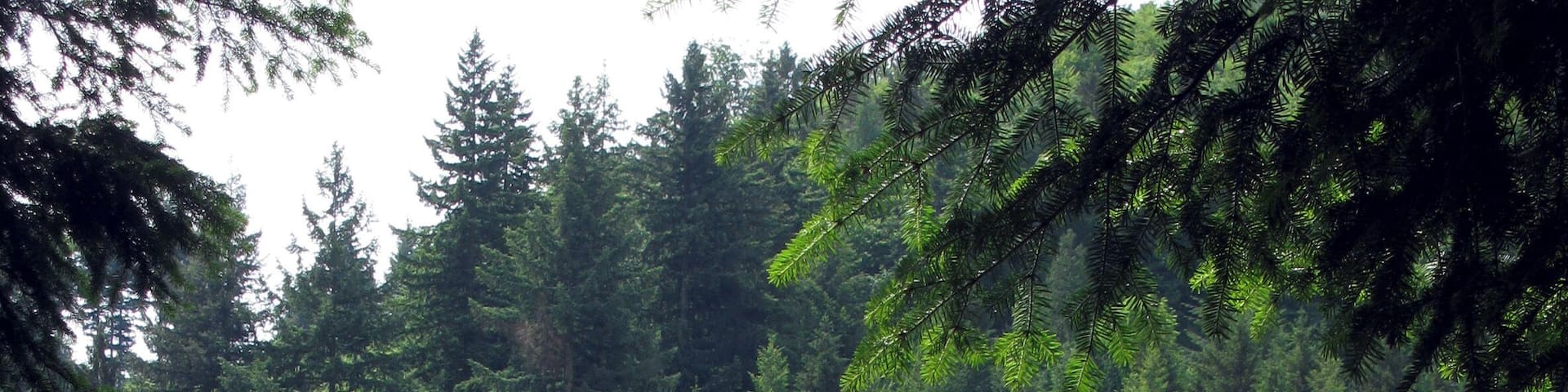 Gasthaus Engel bei der Tennenbacher Kapelle