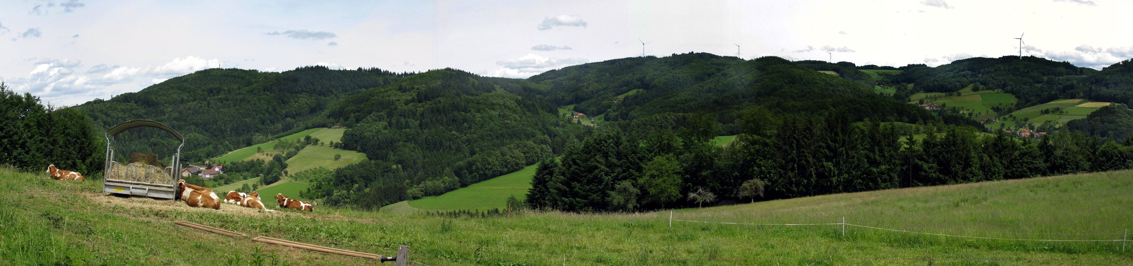 Blick von Läger auf Freiamt