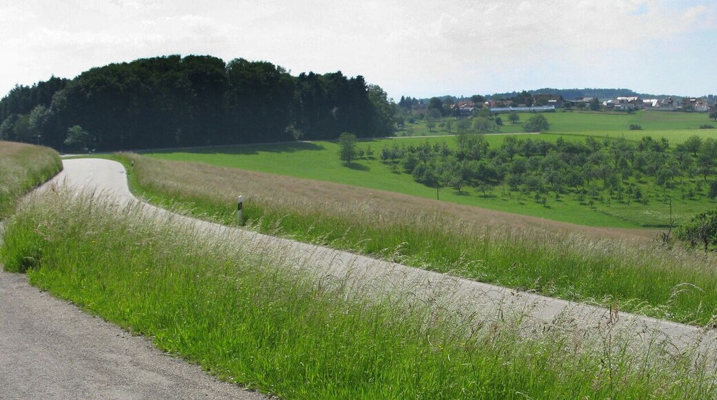 Blick auf Freiamt-Ottoschwanden