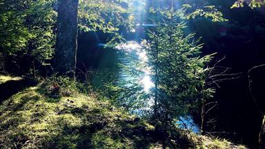 Wintersonne im Forellenteich