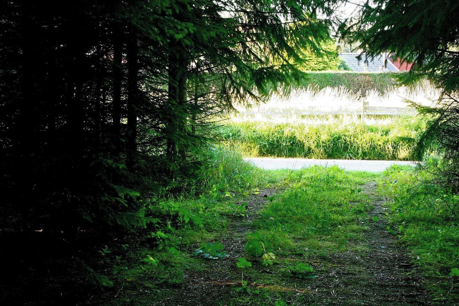 #Green Everyone knows about Copenhagen and Århus, but few people venture into the Danish countryside, which is a shame as Denmark's many villages are filled with beautiful nature and white beaches.