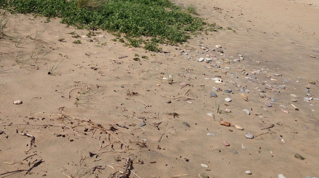 Dark clouds over Tisvilde beach
