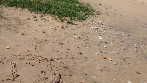 Dark clouds over Tisvilde beach