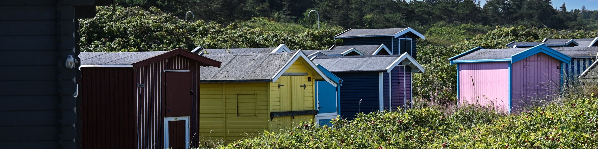 A row of colorful beach huts with a forested hillside in the background.