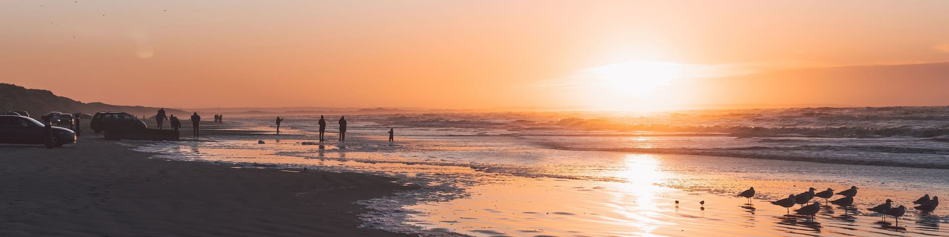 A beach at sunset with people and birds.