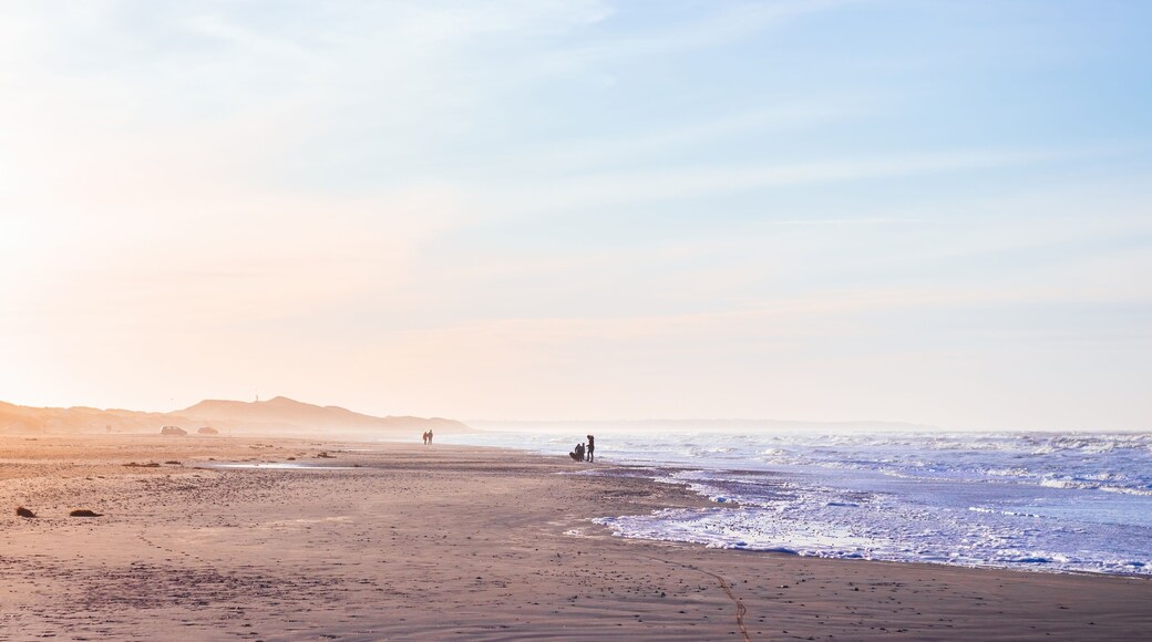 Seascape of North Sea beach at Blokhus, during the sunset of pastel colors. Nordjylland (North Jutland Region), Denmark