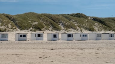 Beach Houses on Løkken Beach, Denmark