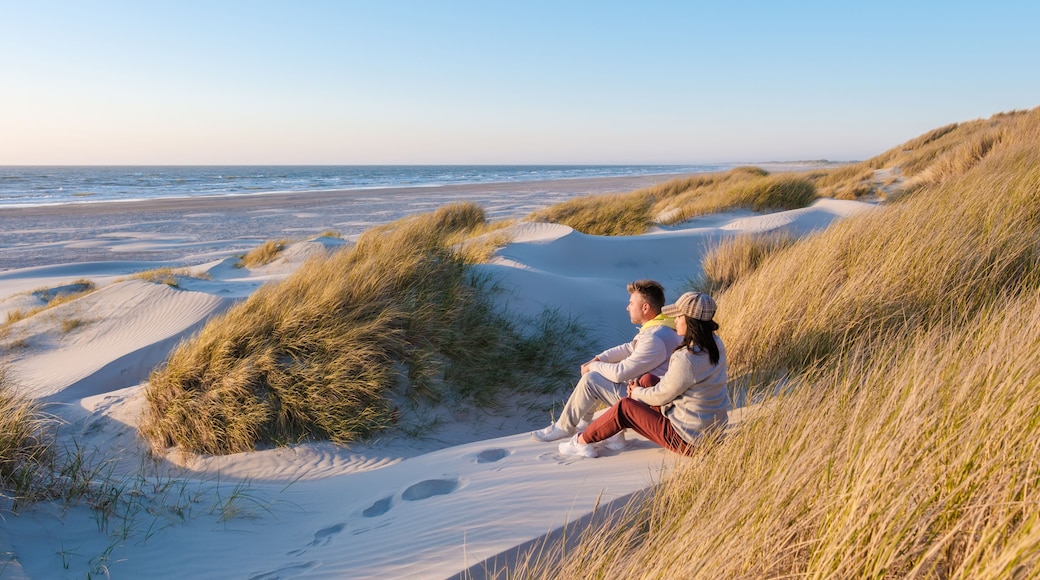 Two people sit together on the soft dunes, surrounded by tall grass, gazing at the calm waves of the North Sea during golden hour in Blokhus Strand,Denmark