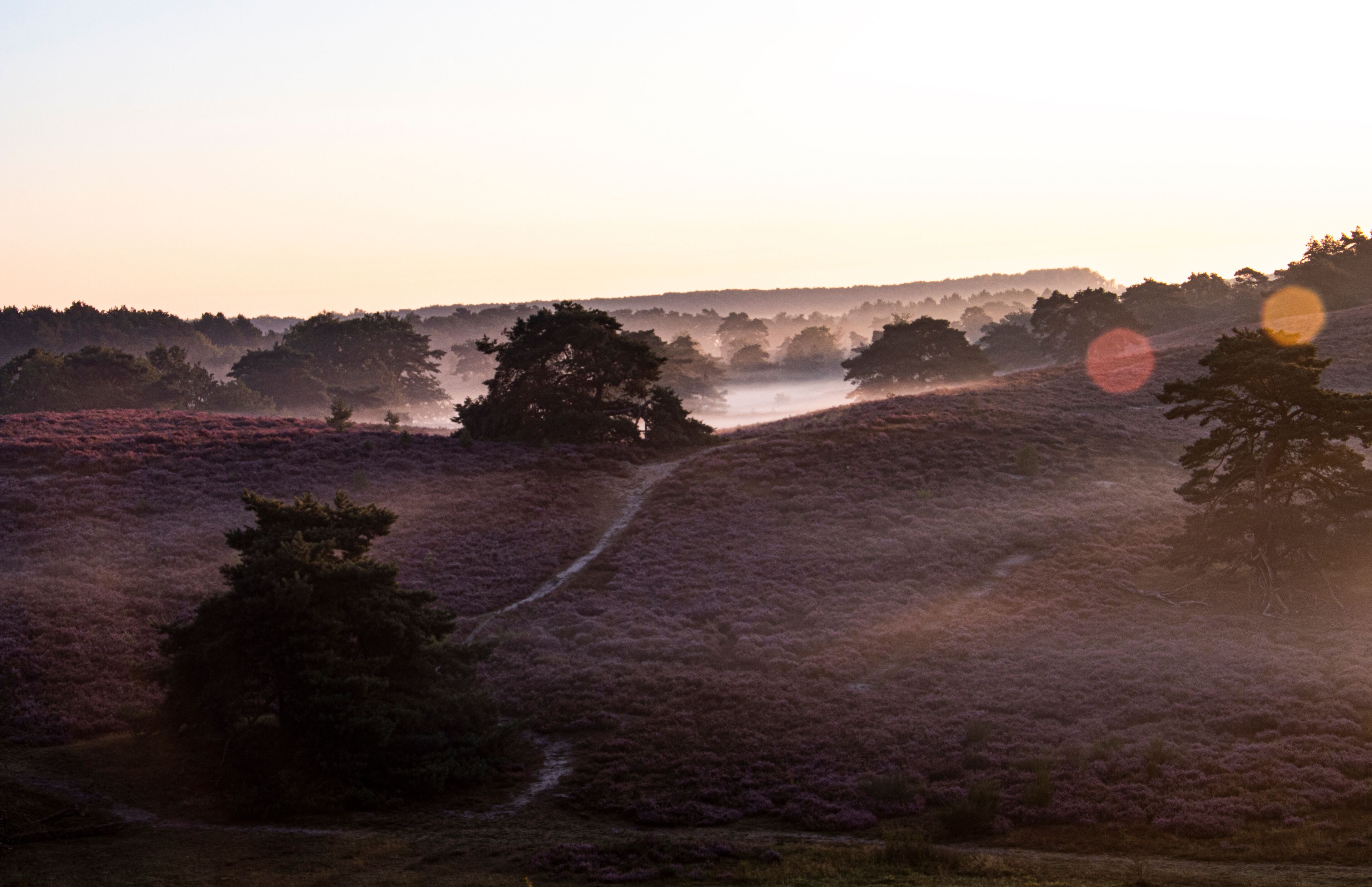 sunset at Brunssummerheid, Brunssum, Netherlands