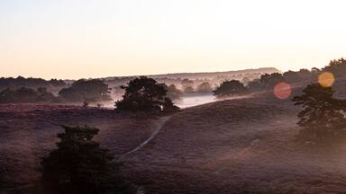 sunset at Brunssummerheid, Brunssum, Netherlands