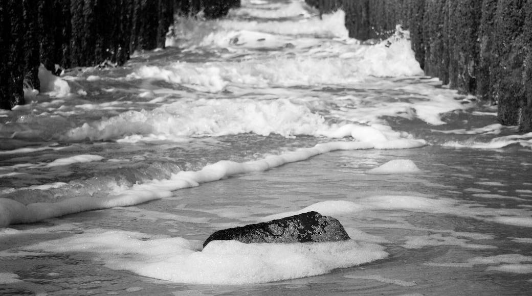 Sea protection, Netherlands