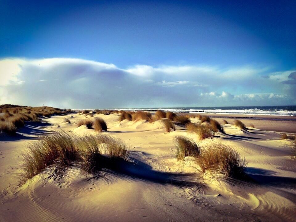 Seaview in the dunes near Domburg,Zeeland in the Netherlands