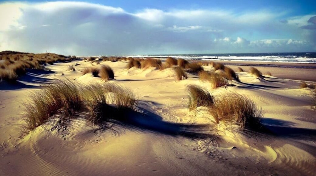 Seaview in the dunes near Domburg,Zeeland in the Netherlands