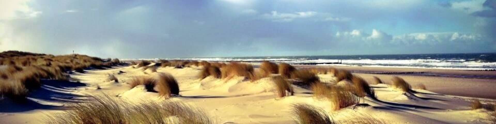 Seaview in the dunes near Domburg,Zeeland in the Netherlands