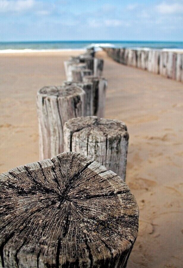 At the Dutch seaside