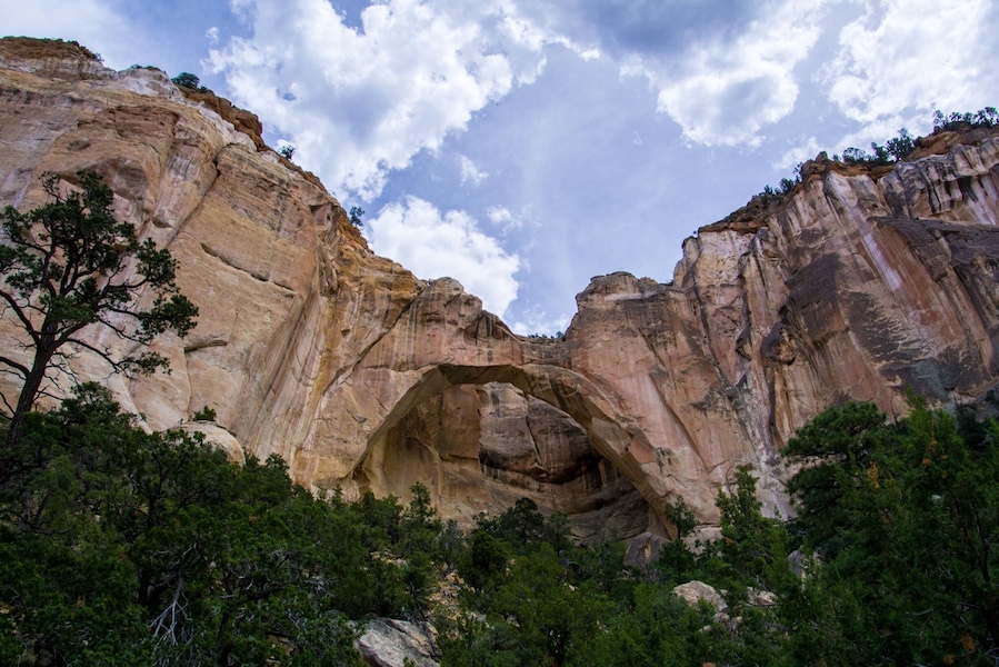 The largest lava flow in CONUS and some great arches. Such a beautiful area.