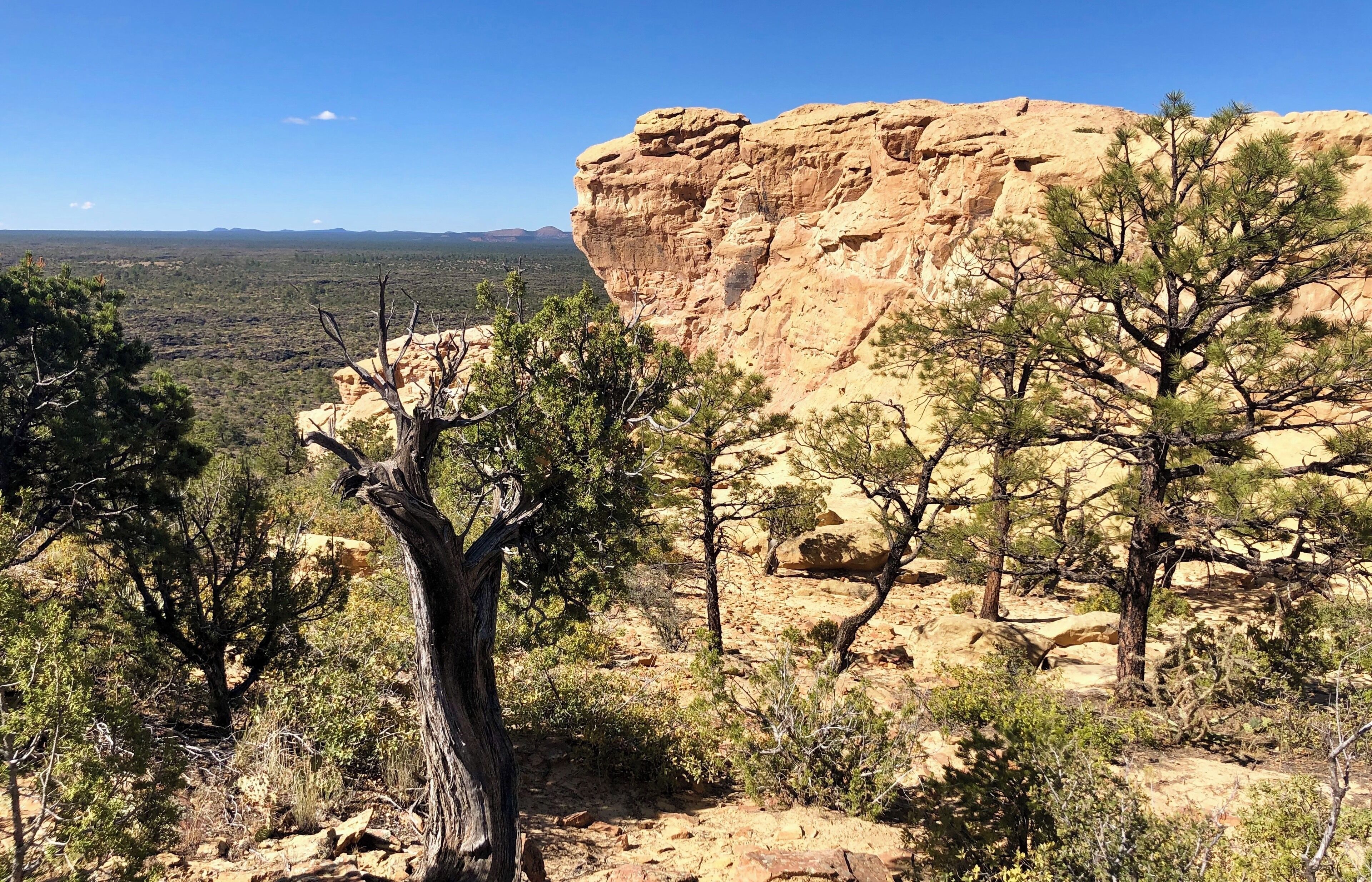 A desert landscape with a prominent rock formation and sparse vegetation.