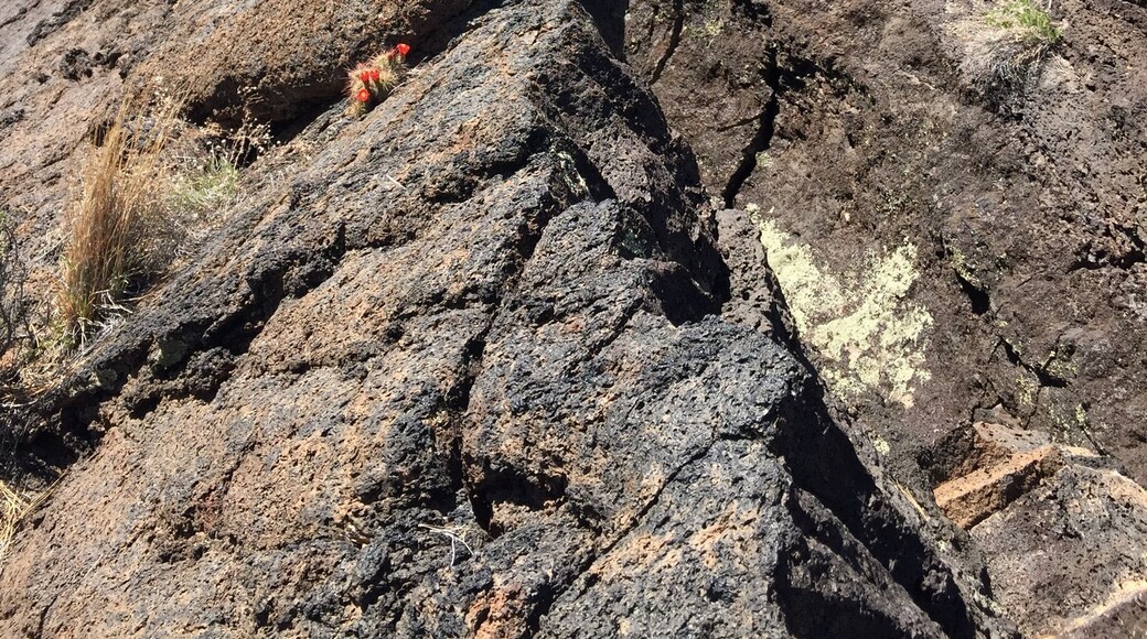 Beautiful ancient lava flows are punctuated by juniper and cacti in full bloom. This is a rough area to scramble around - watch for cairns as it is easy to lose your way in this alien landscape.