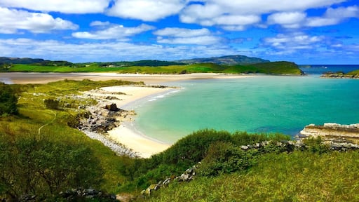 With loads of walks through the forest, It brings you out to this point which is 1 of many beautiful viewing points along the way.