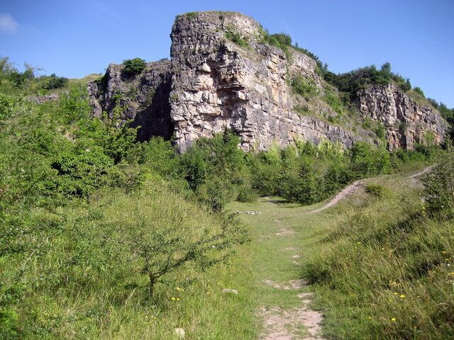 Old Quarry on Llanymynech Hill Part of the old quarry workings on Llanymynech Hill, showing heavily excavated scarring on the sheer rock face, although nature is beginning to take a foothold. The Offa's Dyke National Trail passes close to this spot.