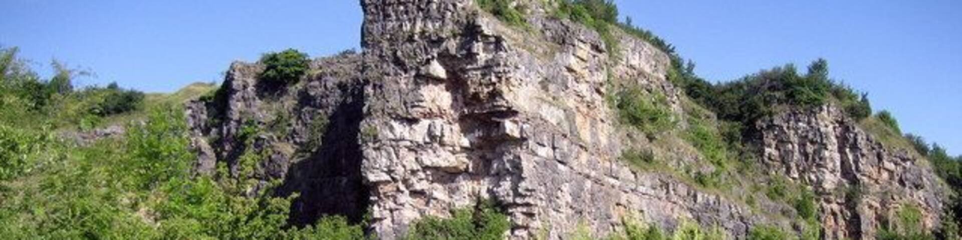 Old Quarry on Llanymynech Hill Part of the old quarry workings on Llanymynech Hill, showing heavily excavated scarring on the sheer rock face, although nature is beginning to take a foothold. The Offa's Dyke National Trail passes close to this spot.