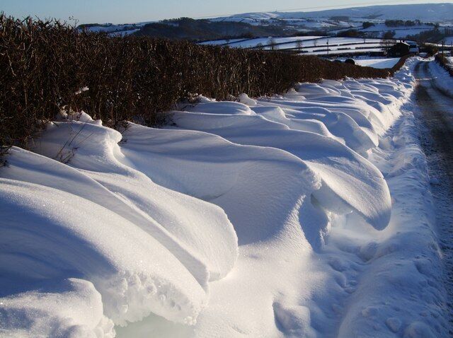 A snow-covered path with a fence and bushes in the background.
