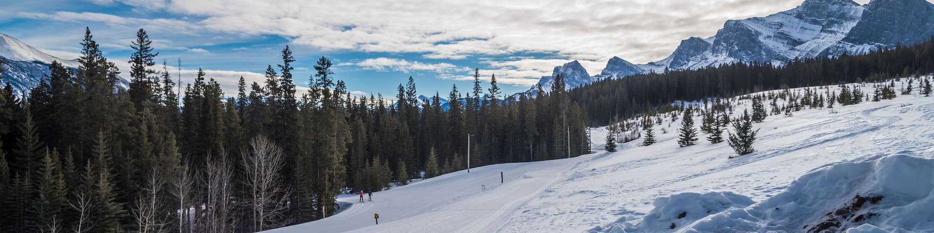 Nordic Centre in Rocky Mountains near Canmore, Alberta, Canada; Shutterstock ID 567046531