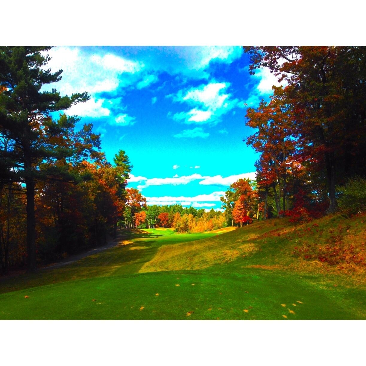 9th Hole tee box peak foliage 
