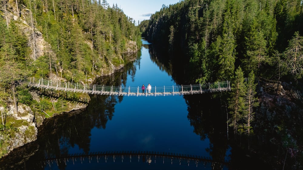 A suspension bridge over a calm river surrounded by dense forest.
