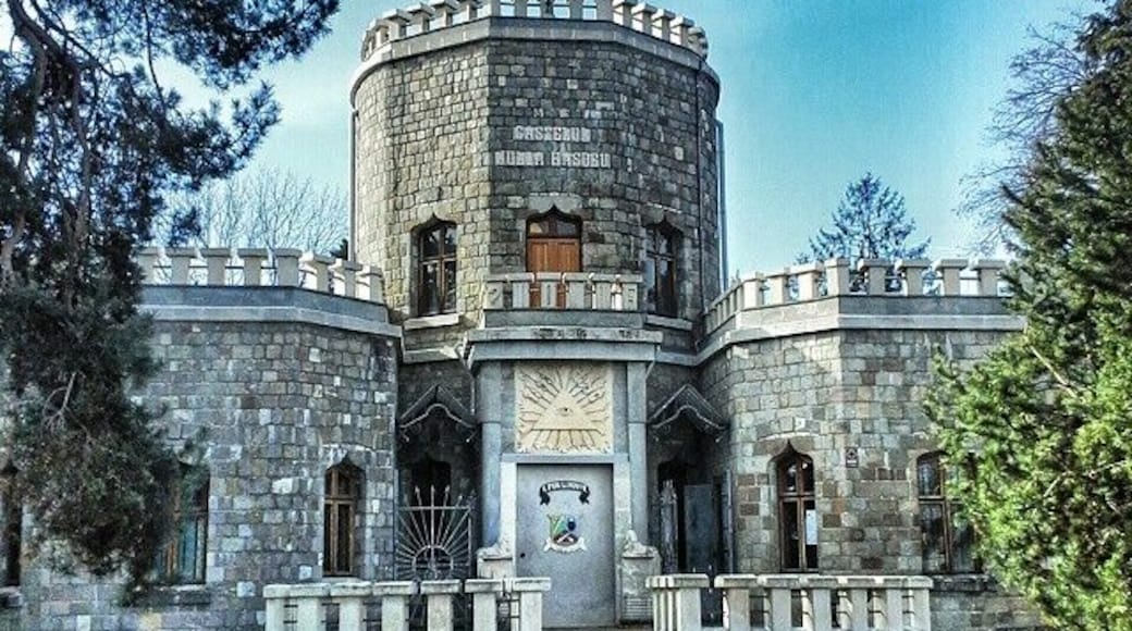 This castle was built in the 1890s by Romanian savant BP Hasdeu in memory of his daughter, Julia after she died at the early age of 18. The grieving father started spiritism sessions to contact the spirit of his beloved Julia and it is said that the castle was built following her instructions from the afterlife. On the entrance door there are two inscriptions: the family motto 'Pro fide et patria' and Galilei's famous 'E pur si muove'