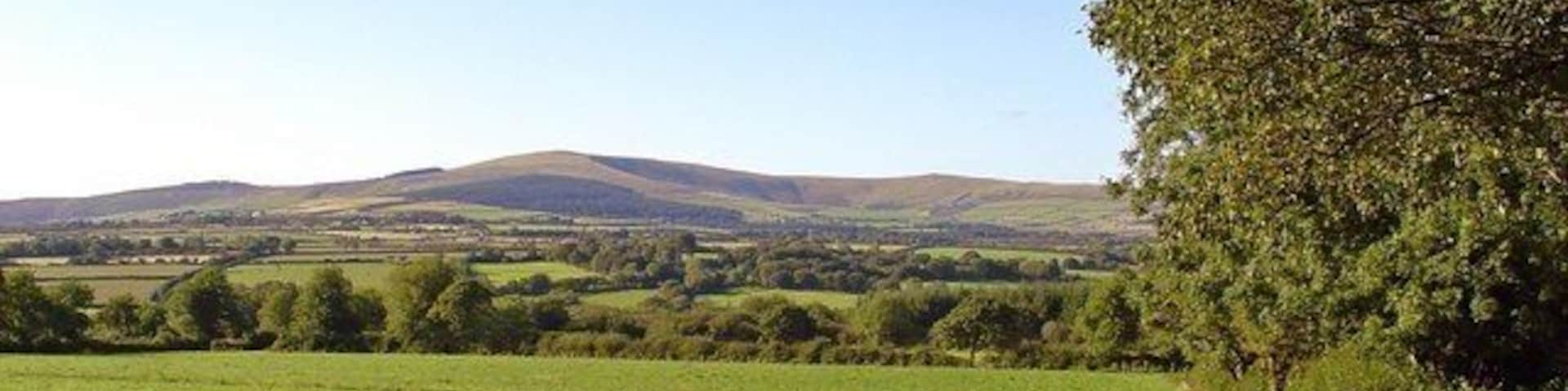 Pasture near Gilfach Ddofn, Llandissilio Foel Cwmcerwyn is the highest point in south-west Wales and dominates the horizon in this area.