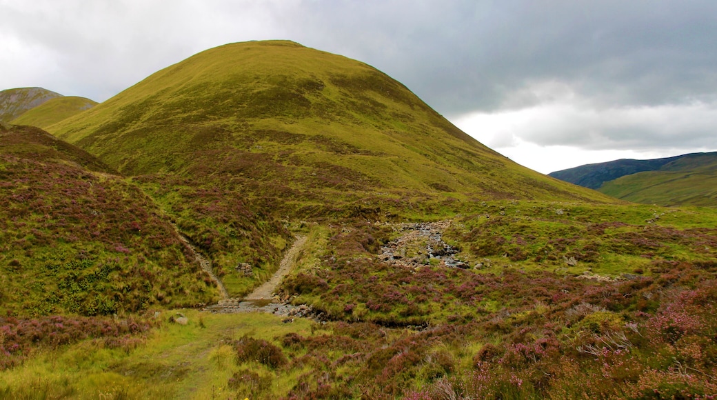 Scottish Highlands. Cairngorm Mountains. Braemar, Royal Deeside, Aberdeenshire, Scotland, UK.