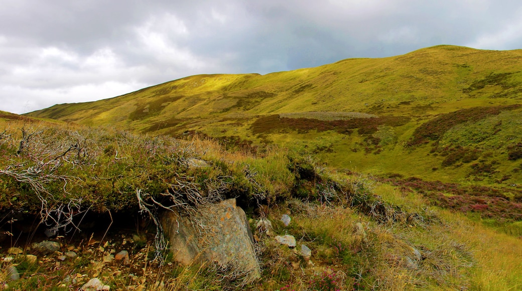 Scottish Highlands. Cairngorm Mountains. Braemar, Royal Deeside, Aberdeenshire, Scotland, UK.