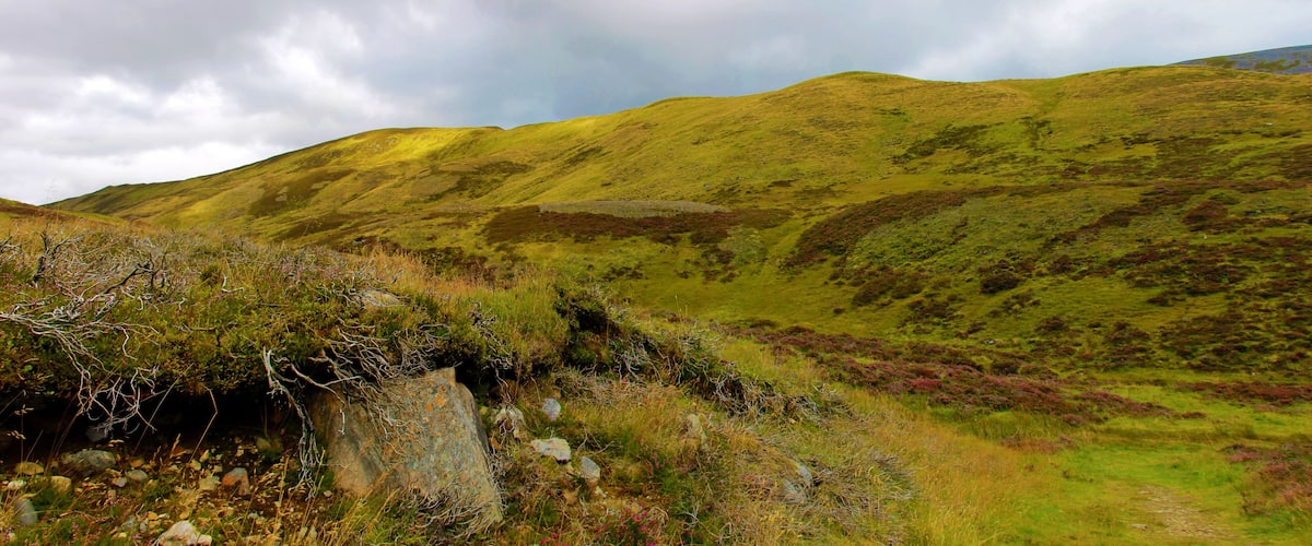 A grassy hillside with a rocky outcrop in the foreground.