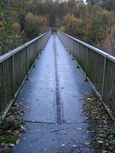 A pedestrian bridge with metal railings, surrounded by trees with autumn foliage.